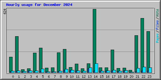 Hourly usage for December 2024