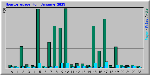 Hourly usage for January 2025