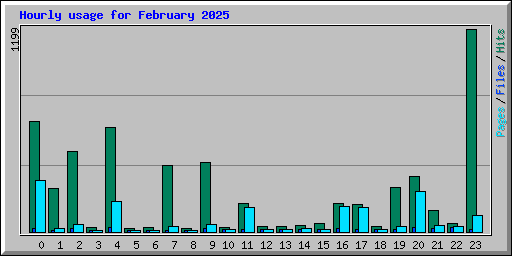 Hourly usage for February 2025