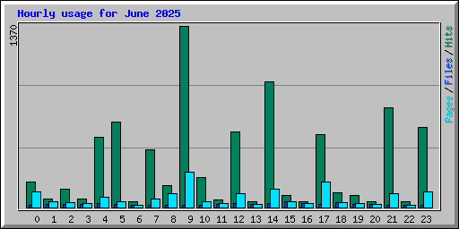 Hourly usage for June 2025
