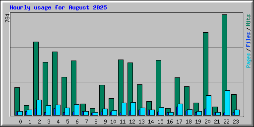 Hourly usage for August 2025