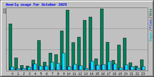 Hourly usage for October 2025