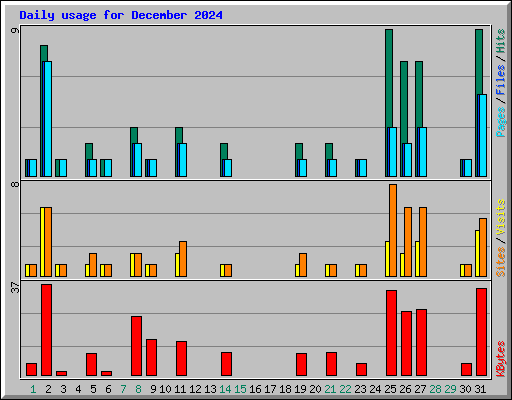 Daily usage for December 2024