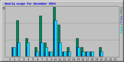 Hourly usage for December 2024