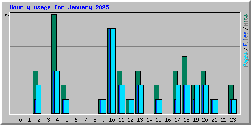 Hourly usage for January 2025