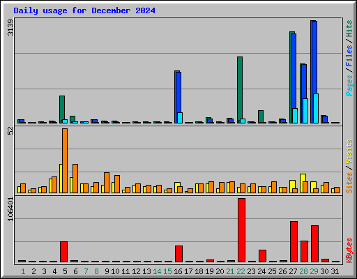 Daily usage for December 2024