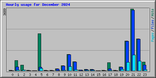 Hourly usage for December 2024