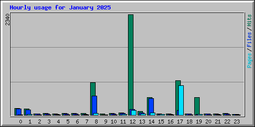 Hourly usage for January 2025