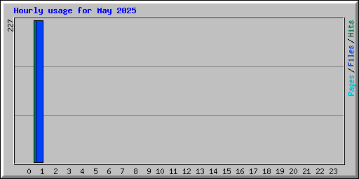 Hourly usage for May 2025
