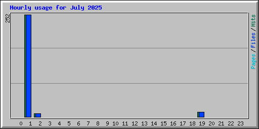 Hourly usage for July 2025