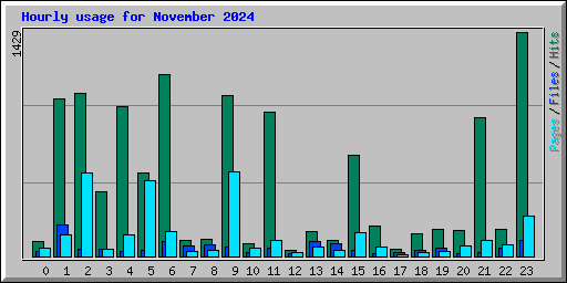 Hourly usage for November 2024
