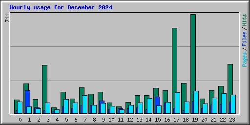 Hourly usage for December 2024