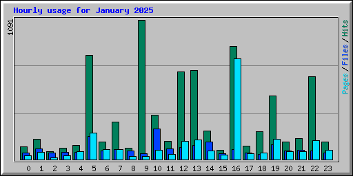 Hourly usage for January 2025