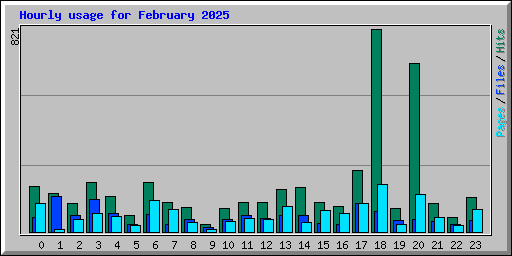 Hourly usage for February 2025