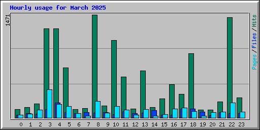 Hourly usage for March 2025