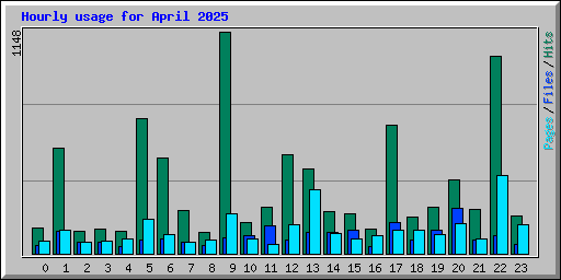 Hourly usage for April 2025