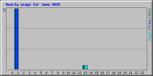 Hourly usage for June 2025