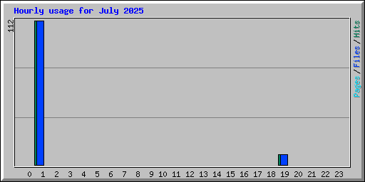 Hourly usage for July 2025