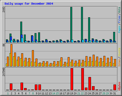 Daily usage for December 2024