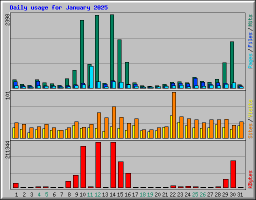 Daily usage for January 2025