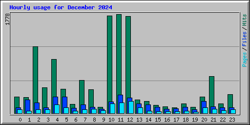 Hourly usage for December 2024