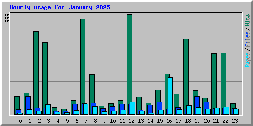 Hourly usage for January 2025