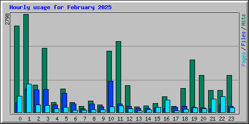 Hourly usage for February 2025