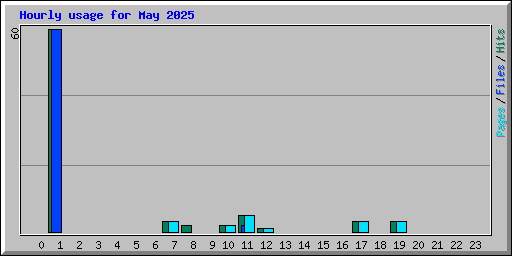 Hourly usage for May 2025
