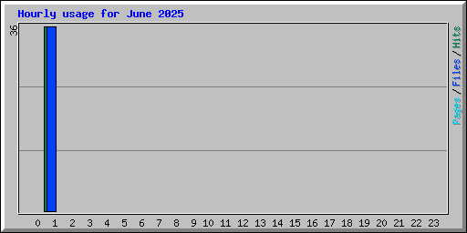 Hourly usage for June 2025